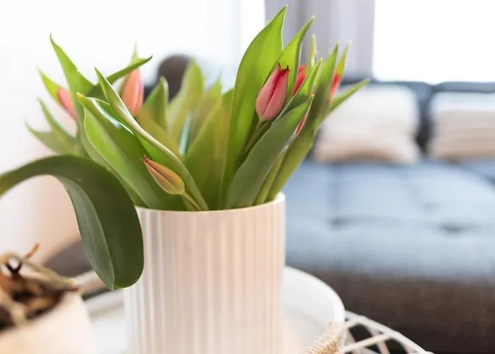 Apartment Jaamamoisa